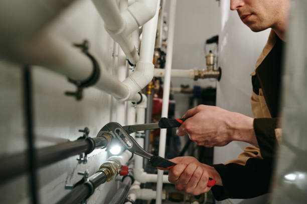 Best Plumbing Repair Near Me  in Palatine, IL