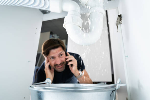 Best Emergency Plumbing Repair  in Palatine, IL