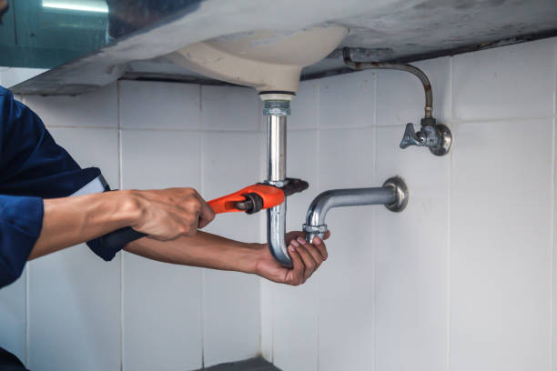 Best Leak Detection Services  in Palatine, IL