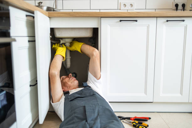 Best Best Plumbers Near Me  in Palatine, IL