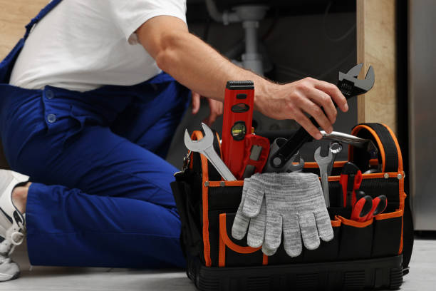 Best Affordable Plumber Near Me  in Palatine, IL