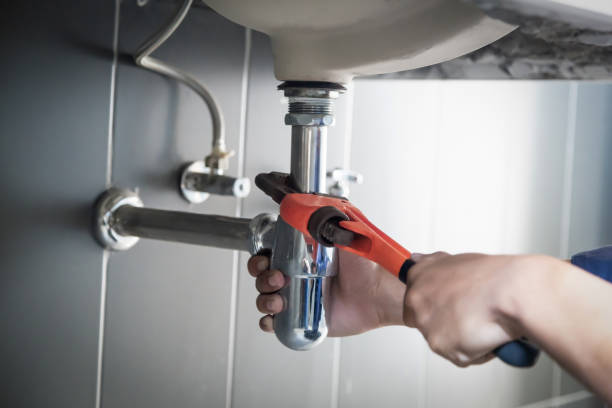 Best Plumbing Repair Near Me  in Palatine, IL